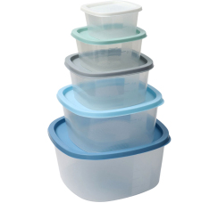 Набор пластиковых контейнеров (5 шт.)