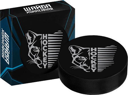 Шайба хоккейная